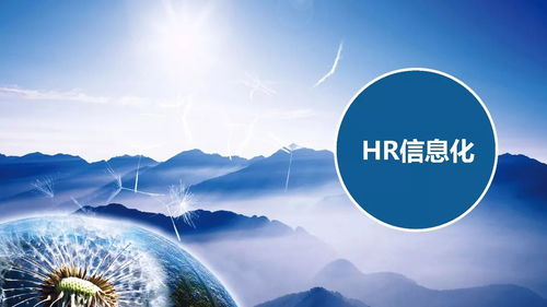 同博企業管理咨詢 hr信息化篇